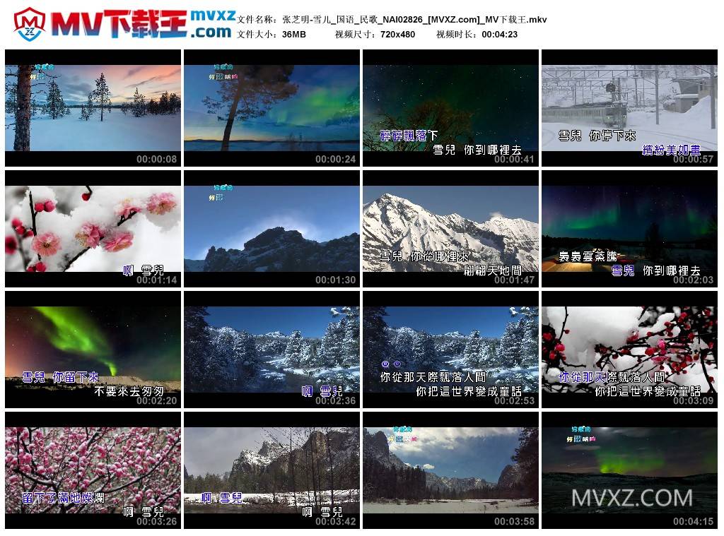 张芝明-雪儿_国语_民歌_NAI02826